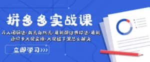 拼多多实战课:万人团玩法/截流自然流/最新强付费打法/最新原价卡大促..-优优云创网