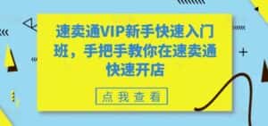 速卖通VIP新手快速入门班，手把手教你在速卖通快速开店-优优云创网
