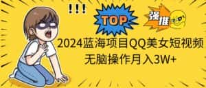 (10862期)2024蓝海项目QQ美女短视频无脑操作月入3W+-优优云创网