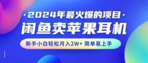 (10863期)2024年最火爆的项目,闲鱼卖苹果耳机,新手小白轻松月入2W+简单易上手-优优云创网