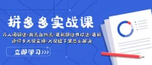（10865期）拼多多·实战课：万人团玩法/截流自然流/最新强付费打法/最新原价卡大促..-优优云创网