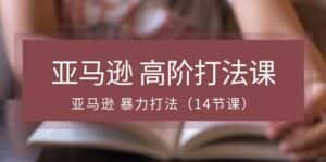 (10870期)亚马逊 高阶打法课,亚马逊 暴力打法(14节课)-优优云创网