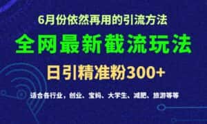 2024全网最新截留玩法,每日引流突破300+-优优云创网