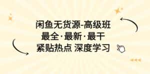 (10886期)闲鱼无货源-高级班,最全·最新·最干,紧贴热点 深度学习(17节课)-优优云创网