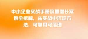 中小企业实战手册流量增长案例全拆解,从实战中沉淀方法,可复用可落地-优优云创网