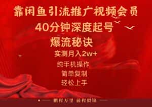 (10896期)闲鱼暴力引流推广视频会员,能做到日入2W+,操作简单-优优云创网