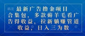 （10906期）最新广告撸金项目合集包，多款薅羊毛看广告收益 拉新管道收益，日入三为数-优优云创网