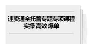 (10917期)速卖通 全托管专题专项课程,实操 高效 爆单(11节课)-优优云创网