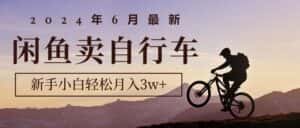 (10915期)2024年6月最新闲鱼卖自行车,新手小白轻松月入3w+项目-优优云创网