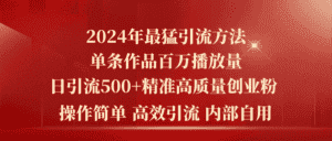 (10920期)2024年最猛暴力引流方法,单条作品百万播放 单日引流500+高质量精准创业粉-优优云创网