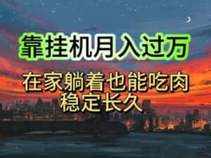 （10921期）挂机项目日入1000+，躺着也能吃肉，适合宝爸宝妈学生党工作室，电脑手…-优优云创网