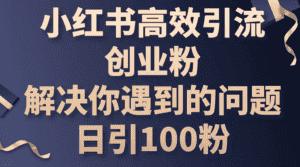 (10929期)小红书高效引流创业粉,解决你遇到的问题,日引100粉-优优云创网