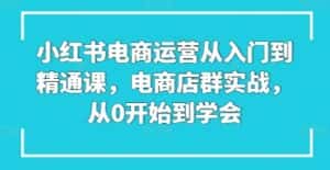 小红书电商运营从入门到精通课，电商店群实战，从0开始到学会-优优云创网