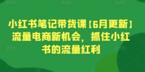 小红书笔记带货课【6月更新】流量电商新机会,抓住小红书的流量红利-优优云创网