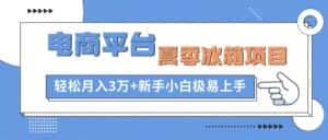 (10934期)电商平台夏季冰箱项目,轻松月入3万+,新手小白极易上手-优优云创网