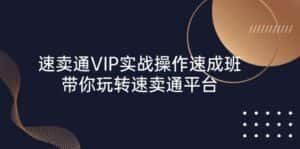 (10935期)速卖通 VIP实战操作-速成班,带你玩转速卖通平台(23节)-优优云创网