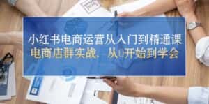 （10937期）小红书电商运营从入门到精通课，电商店群实战，从0开始到学会-优优云创网