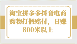 淘宝拼多多抖音电商购物打假赔付，日赚800米以上-优优云创网