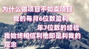 做项目不如卖项目，每月6位数盈利，年7位数经验-优优云创网