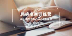 (10946期)跨境电商训练营:从0-1教你做TikTok小店实操课(17节视频课)-优优云创网