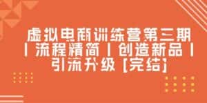 （10960期）虚拟电商训练营第三期丨流程精简丨创造新品丨引流升级-优优云创网