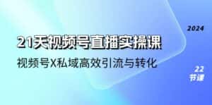 (10966期)21天-视频号直播实操课,视频号X私域高效引流与转化(22节课)-优优云创网