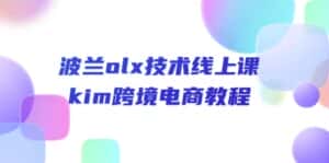 （10967期）波兰olx 技术线上课，kim跨境电商教程-优优云创网