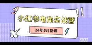 (10984期)小红书电商实战营:小红书笔记带货和无人直播,24年6月新课-优优云创网