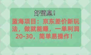 （10989期）越早知道越能赚到钱的蓝海项目：京东大平台操作，一单利润20-30，简单…-优优云创网