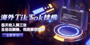（10994期）海外TikTok挂机，每天收入两三张，全自动躺赚，彻底 解放双手！-优优云创网