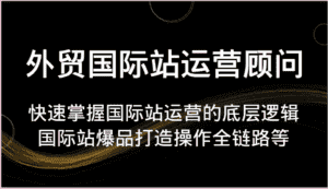 外贸国际站运营顾问-快速掌握国际站运营的底层逻辑,国际站爆品打造操作全链路等-优优云创网