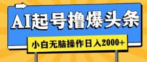 (11008期)AI起号撸爆头条,小白也能操作,日入2000+-优优云创网