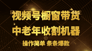（11009期）视频号最火爆赛道，橱窗带货，流量分成计划，条…-优优云创网