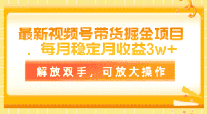 (11010期)最新视频号带货掘金项目,每月稳定月收益3w+,解放双手,可放大操作-优优云创网