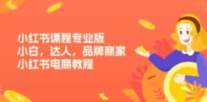 (11022期)小红书课程专业版,小白,达人,品牌商家,小红书电商教程(15节)-优优云创网