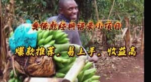 (11030期)奥德彪经典语录小项目,爆款推荐,易上手,收益高-优优云创网
