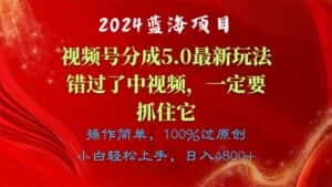 （11032期）2024蓝海项目，视频号分成计划5.0最新玩法，错过了中视频，一定要抓住…-优优云创网