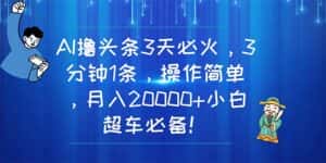 （11033期）AI撸头条3天必火，3分钟1条，操作简单，月入20000+小白超车必备！-优优云创网