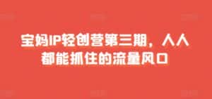宝妈IP轻创营第三期,人人都能抓住的流量风口-优优云创网