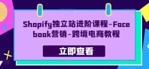 Shopify独立站进阶课程-Facebook营销-跨境电商教程-优优云创网