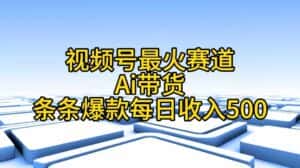 (11038期)视频号最火赛道——Ai带货条条爆款每日收入500-优优云创网