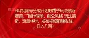 （11040期）6月视频号分成计划野路子玩法最新赛道操作简单，颠公风格玩法清奇，流…-优优云创网