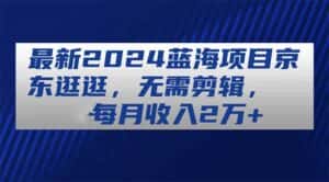 (11041期)最新2024蓝海项目京东逛逛,无需剪辑,每月收入2万+-优优云创网
