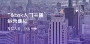 Tiktok入门主播运营课程，及早入局，快人一步（11节）-优优云创网