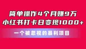 (11048期)简单操作4个月赚9万!小红书打卡日变现1000+!一个被忽视的暴力项目-优优云创网