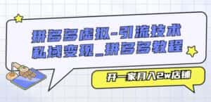 拼多多虚拟-引流技术与私域变现_拼多多教程:开一家月入2w店铺-优优云创网
