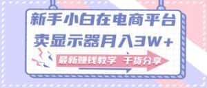 (11053期)新手小白如何做到在电商平台卖显示器月入3W+,最新赚钱教学干货分享-优优云创网