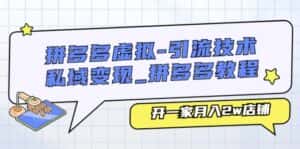 (11054期)拼多多虚拟-引流技术与私域变现_拼多多教程:开一家月入2w店铺-优优云创网