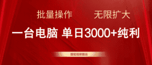 （11064期）搜狐视频搬运，一台电脑单日3000+，批量操作，可无限扩大-优优云创网