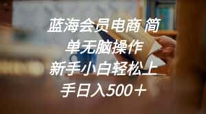 (11068期)蓝海会员电商 简单无脑操作 新手小白轻松上手日入500+-优优云创网